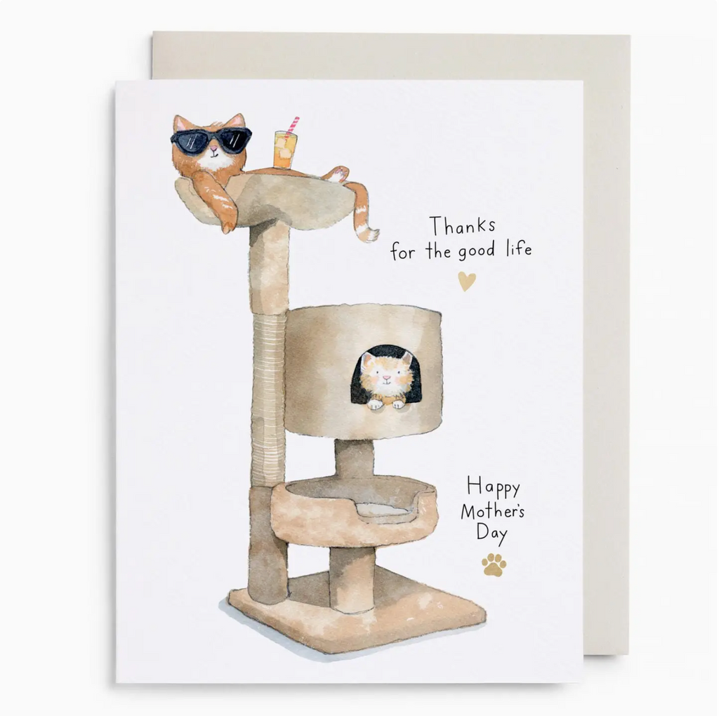 Cat Condo Mom Card