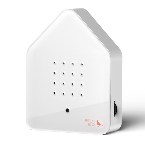 Satellitebox: Birdy Box + Red Cardinal