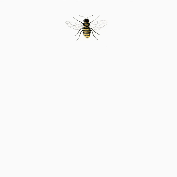 Honey Bee Notepad Refill