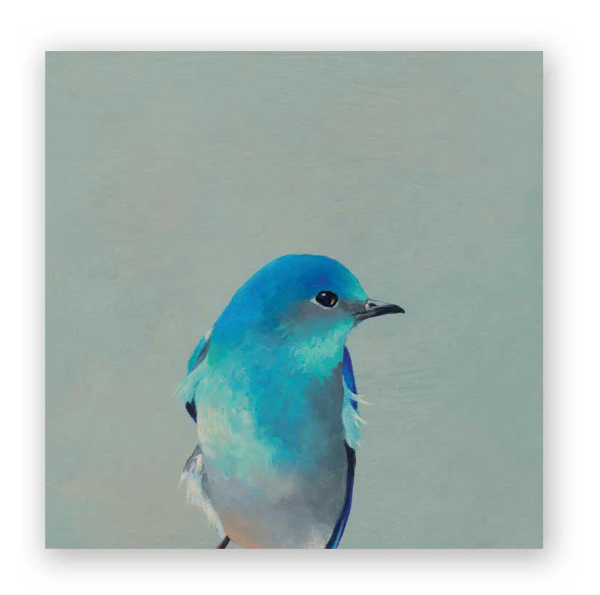 Mountain Bluebird Wall Art