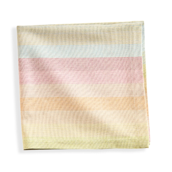Watercolor Multi Horizon Napkins Set/4