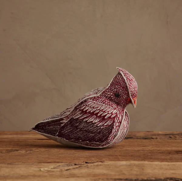 Cardinal of Hope