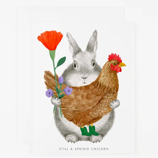 Still A Spring Chicken