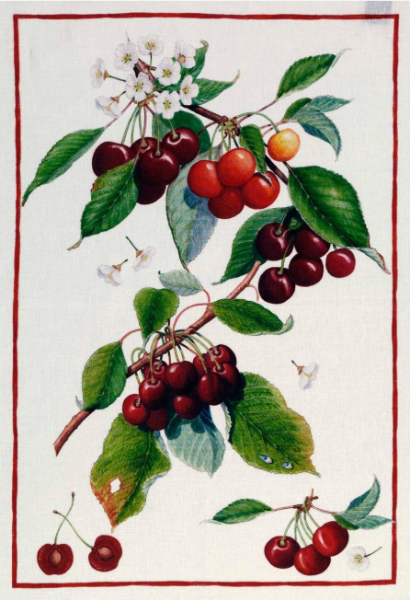 Demetra Tea Towel: Ciliegie