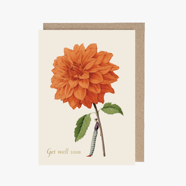 Orange Dahlia Get Well Soon Card