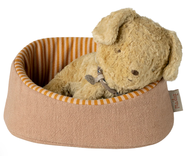 Pet Basket in Powder