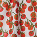 Ripe and Ready Tea Towel