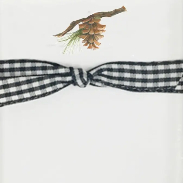 Pinecone Mini Notes Refill