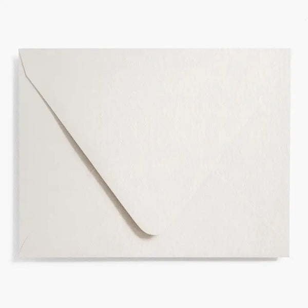 A2 Envelope Set in Shimmer Silver