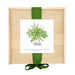 Herb garden kit with a wooden box, green ribbon, and plant illustration on a white background