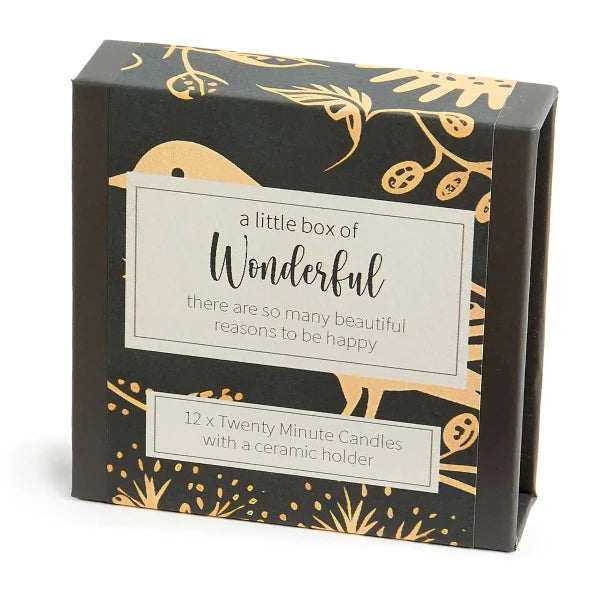 A Little Box of Wonderful-Folk