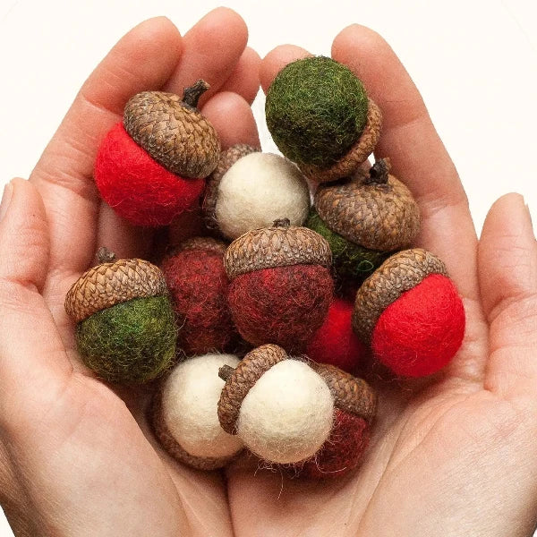 Holiday Felted Acorn Kit-Wet Felting