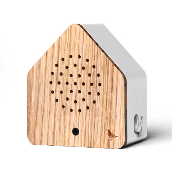 Satellitebox: Blackbird Wood