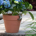 Terracotta pot with hydrangeas and a metal rabbit ornament on a stone surface.