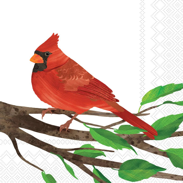 Cardinal bird on a branch with green leaves on a white background