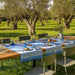 Dining table set for a meal in an olive grove with greenery and trees in the background.