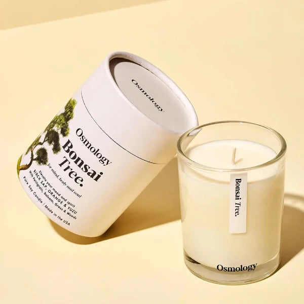 Bonsai Tree Boxed Candle