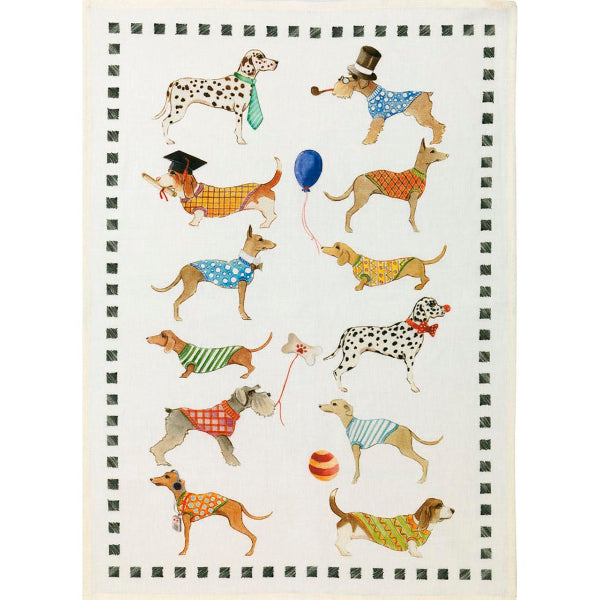 Illustration of dogs wearing colorful clothing on a white background with black checkered border