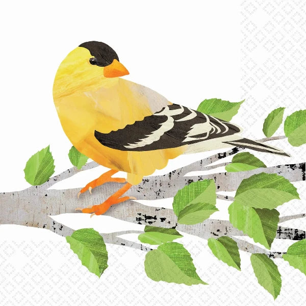 American Goldfinch Cocktail Napkins