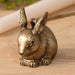 Bronze rabbit figurine on a wooden surface