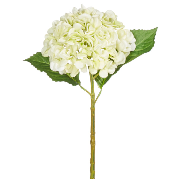 Artificial white hydrangea flower with green leaves on a white background
