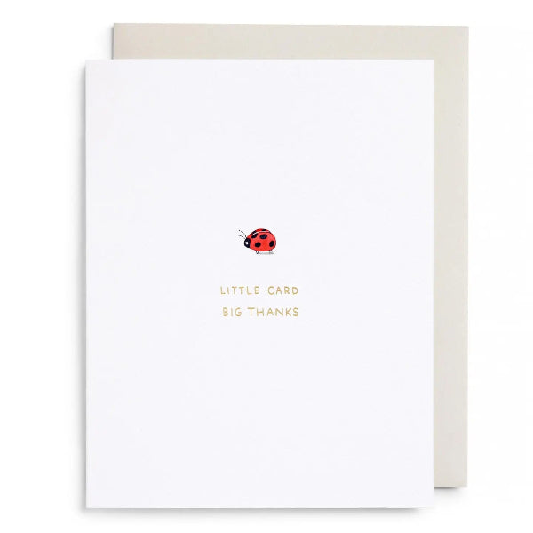 Greeting card with a ladybug illustration and text 'Little Card Big Thanks' on a white background.