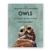 The Mincing Mockingbird 'Owls' card deck box cover, featuring a painted owl illustration on a textured teal background with black text.