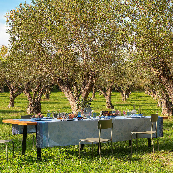 Dining table set for a meal in an olive grove