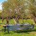 Dining table set for a meal in an olive grove