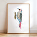 Framed artwork of a colorful bird on a white wall.