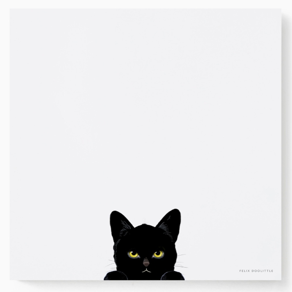 Black cat illustration on a white background