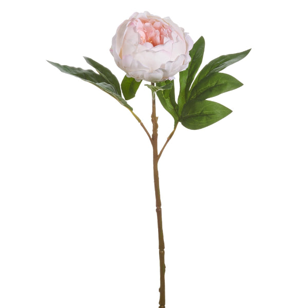 Artificial pink peony flower with green leaves on a white background
