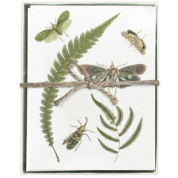 Fern & Insects Boxed Greeting Cards