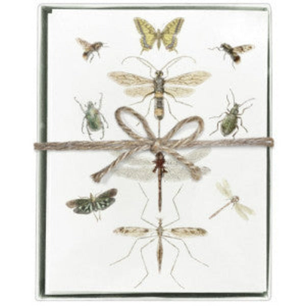 Entomology Boxed Greeting Cards