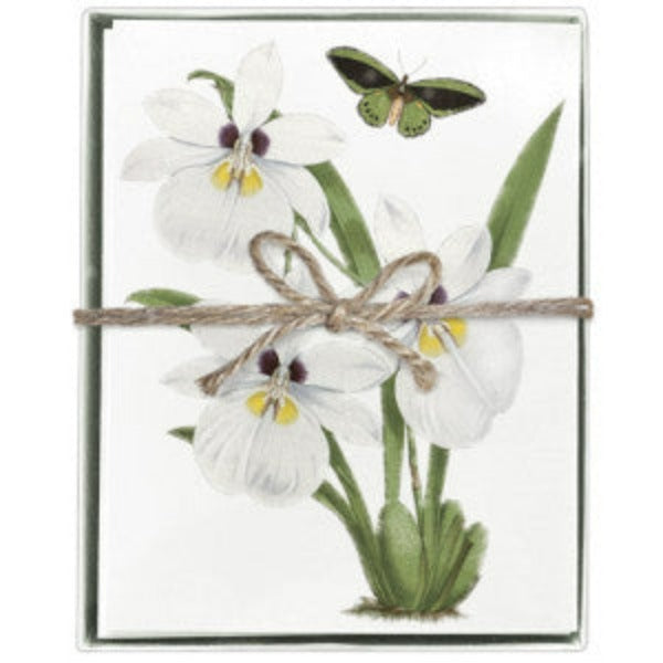 Moth & Orchid Boxed Greeting Cards