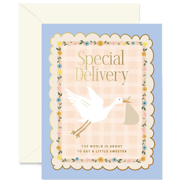 Stork Special Delivery Card