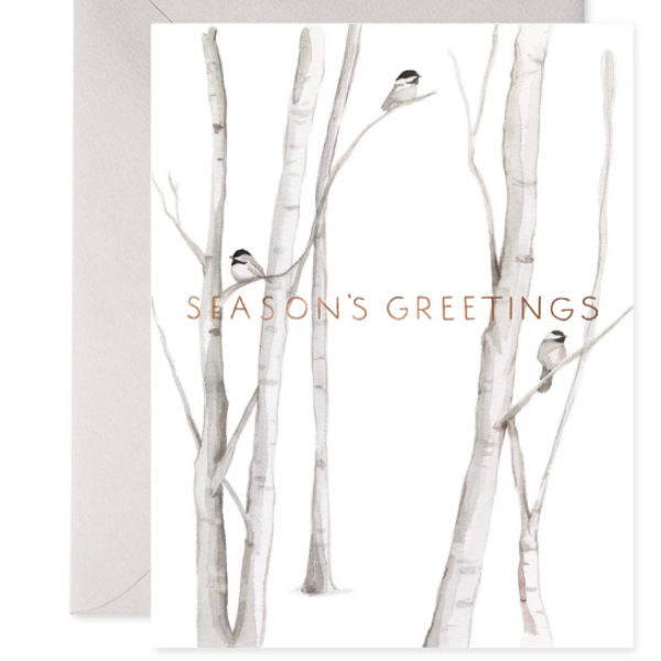 Snowy Birches Box/6 Notecards