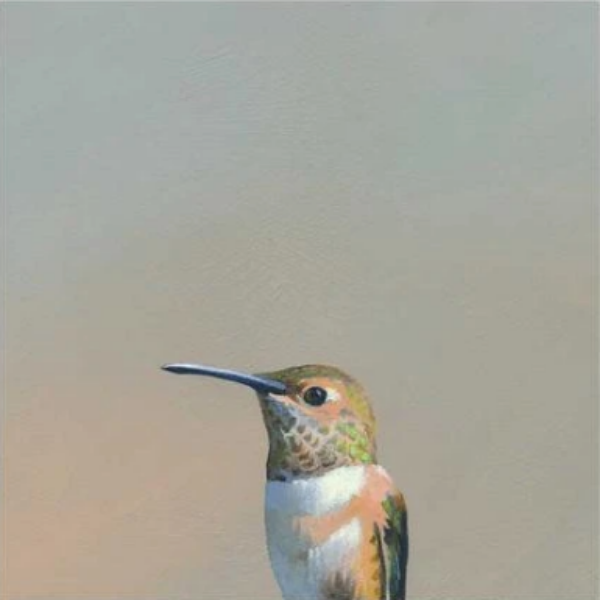 Hummingbird #5 Wall Art