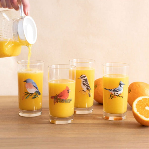 Bird Juice Glasses / Set of 4