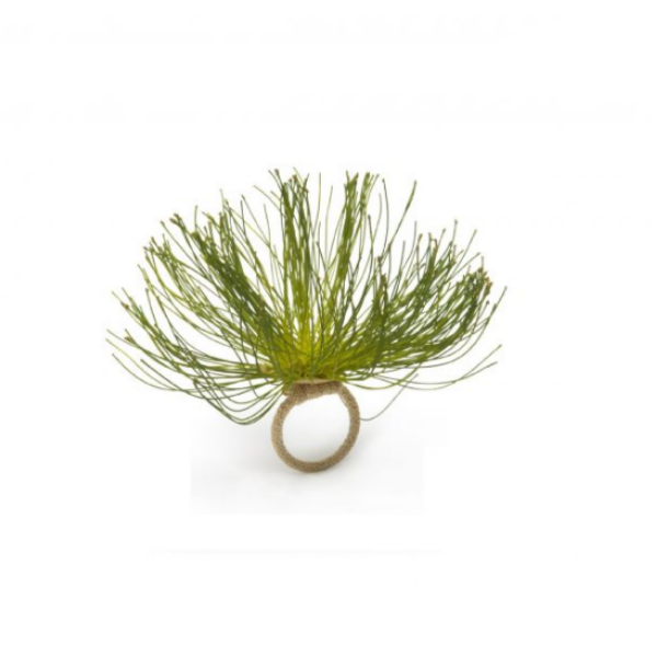 Cypress Bloom Napkin Ring
