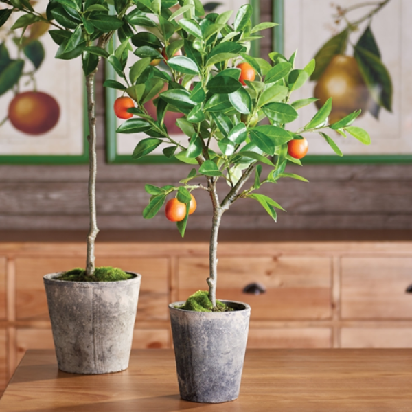 Orange Topiary Potted 28"