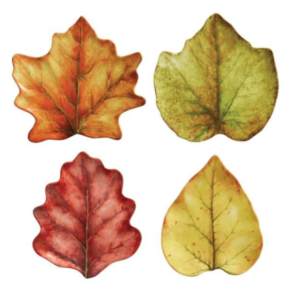 Forest Walk Assorted Leaf Party Plate Set