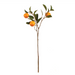 Orange Branch 28.5"