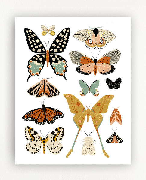 Butterfly Collector Art Print