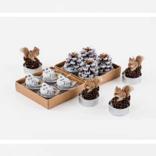 Squirrel, Bird or Pinecone T-light Boxed Set