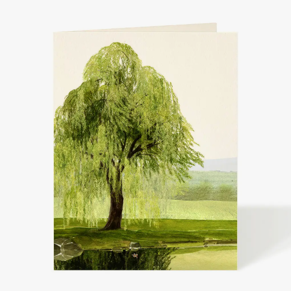 Whispering Willow Sympathy Card