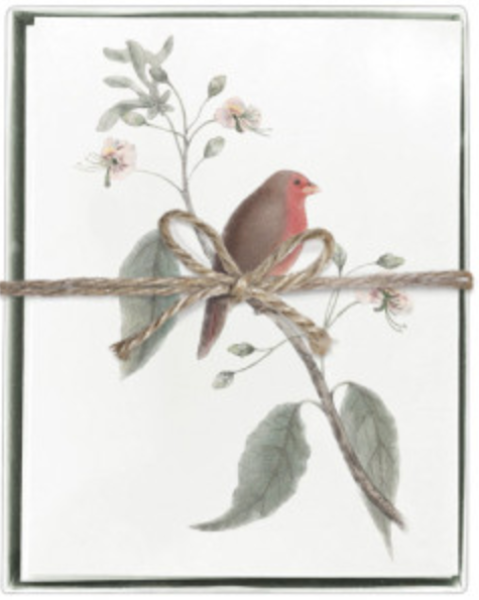 Little Red Bird Box/8 Cards