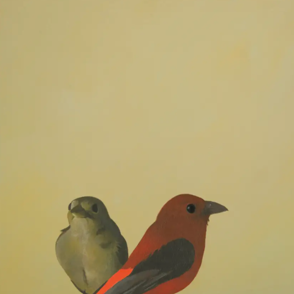 Tanager Pair Wings Wall Art