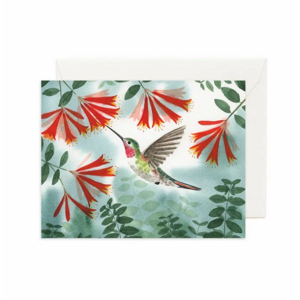 Hummingbird Greeting Card